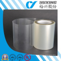 Transparent Polyester Film with High Dieletric